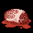 肉